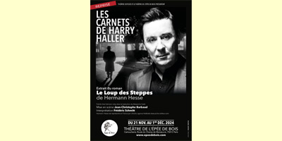 LES CARNETS DE HARRY HALLER